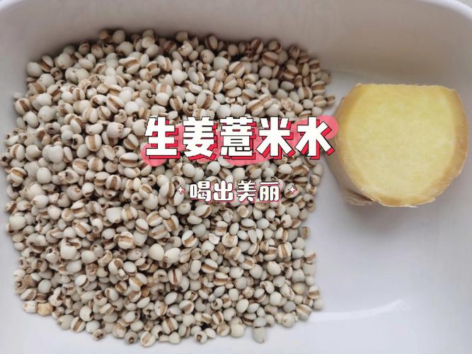 「薏米的功效与作用及食用方法」姜炒薏米的功效与作用及食用方法